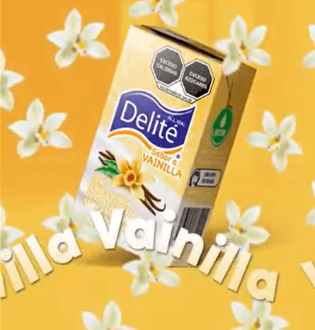 Leche  sabor vainilla  250 ml 