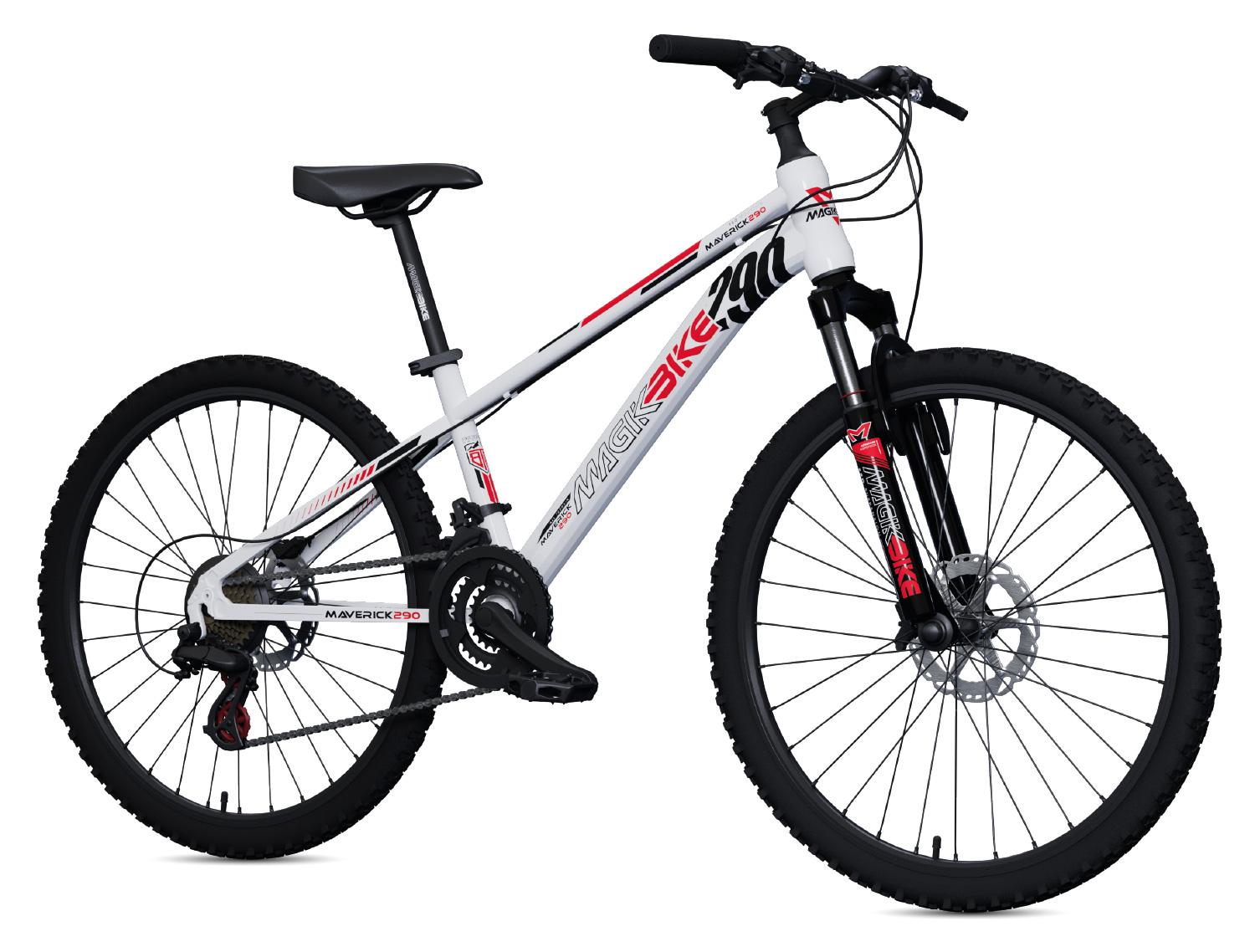 BICICLETA HOMBRE 29"